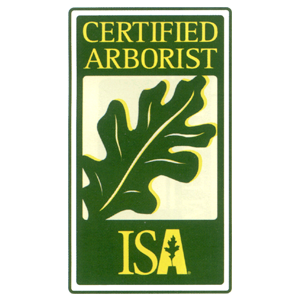member-certified-arborist-isa member-certified-arborist-isa