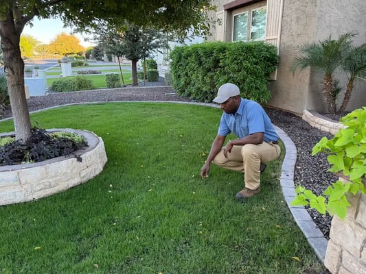 Lawn Care